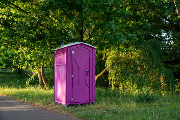 Affordable portable toilet rental in Homer, MI